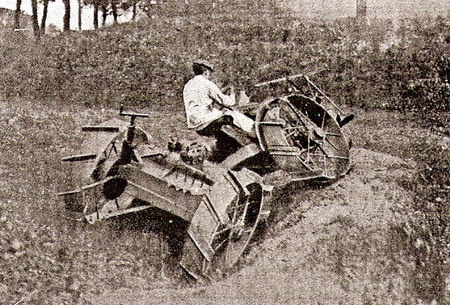 disuguaglianze terreno