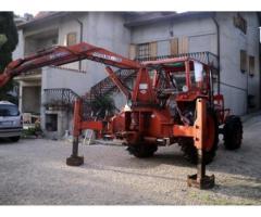 Same drago - Immagine 1