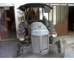 Massey Ferguson TE 20 - Immagine 1