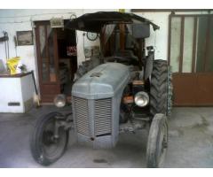 Massey Ferguson TE 20 - Immagine 2