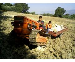 Fiatagri 355 C - Immagine 2