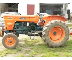 Fiatagri fiat 600 - Immagine 2