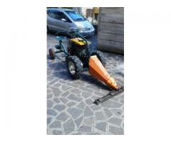 Motocoltivatore Goldoni - Immagine 2