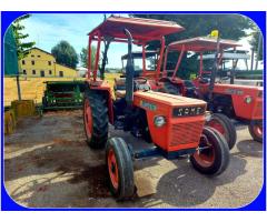 Trattore Agricolo Same Delfino 35 GL da CV 34 - Immagine 2