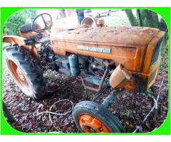 Trattore Agricolo Fiat 215 a Benzina da Collezione - Immagine 2