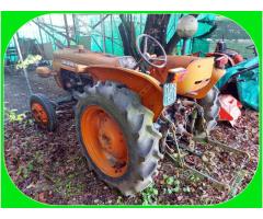 Trattore Agricolo Fiat 215 a Benzina da Collezione - Immagine 3